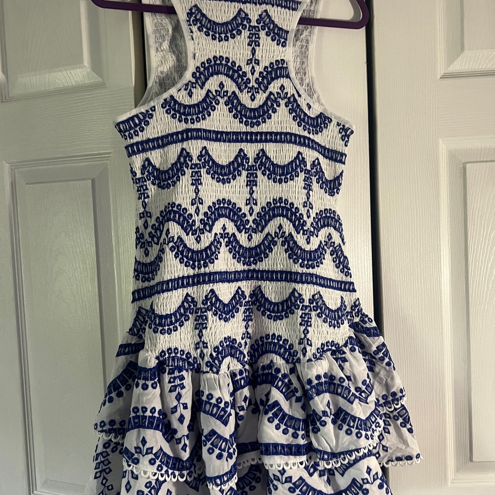Embroidered Ruffled Sleeveless Dress - Picture 15 of 16